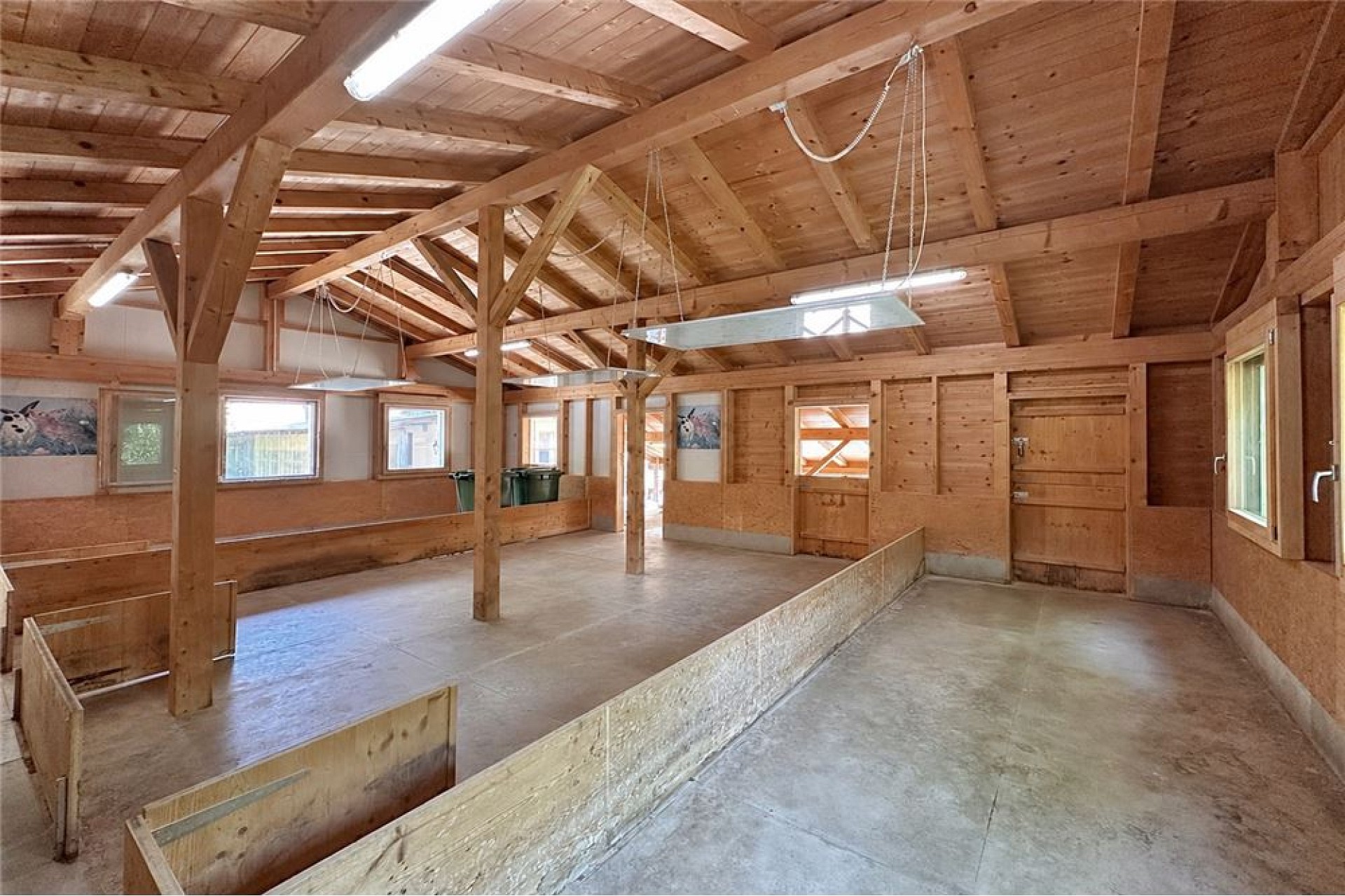 Große Holzhalle mit Stallcharakter