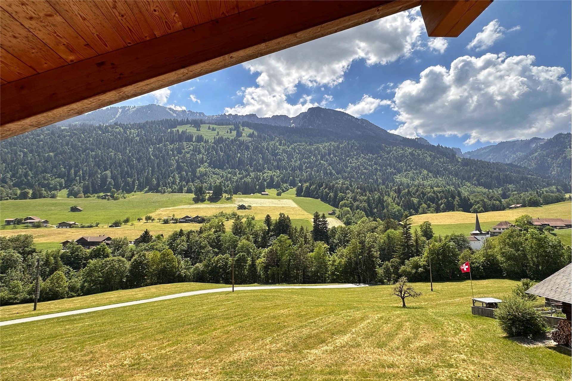 Alpenpanorama mit Bergwiese