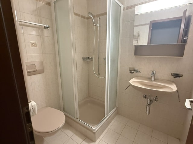 Kleines Badezimmer mit Dusche und Waschbecken