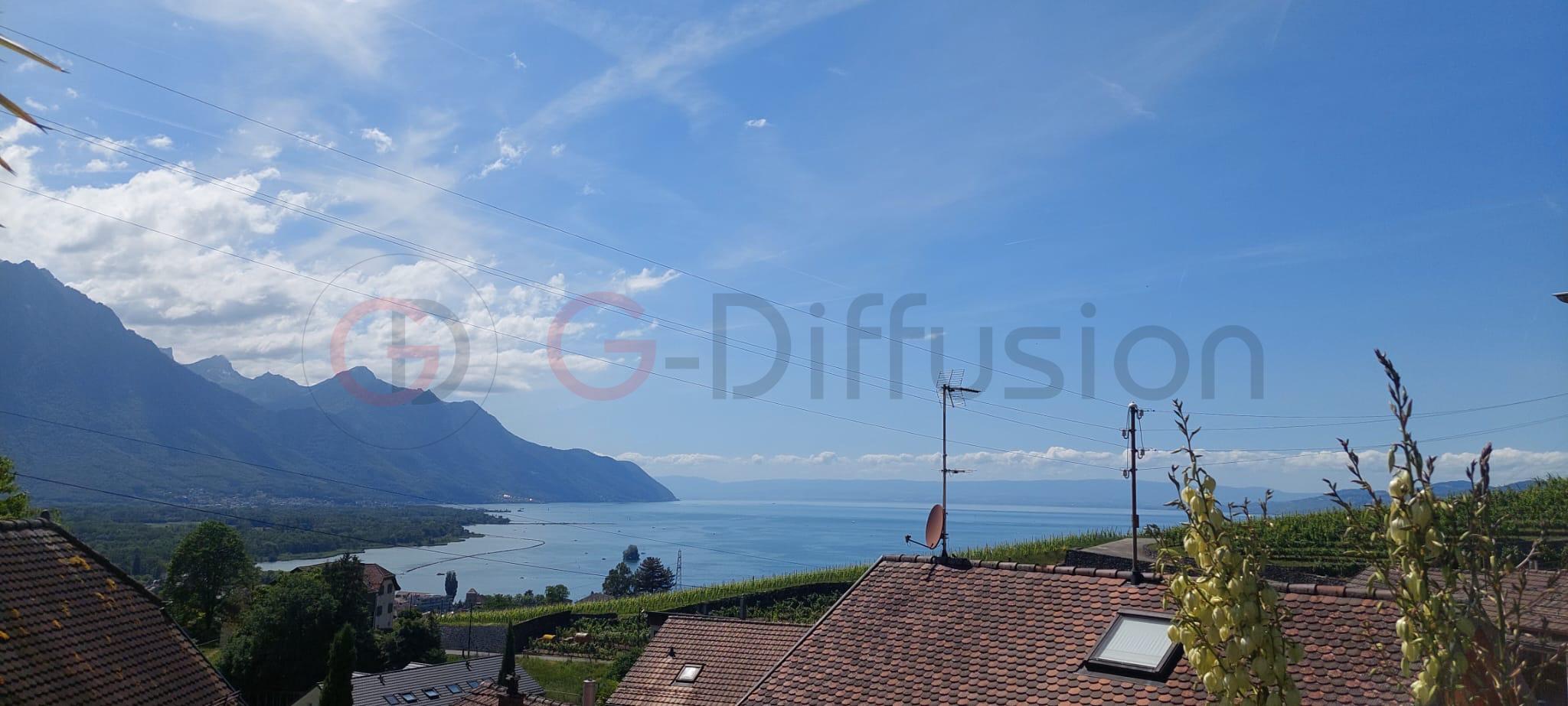 Seeblick mit Bergen und Rebhang