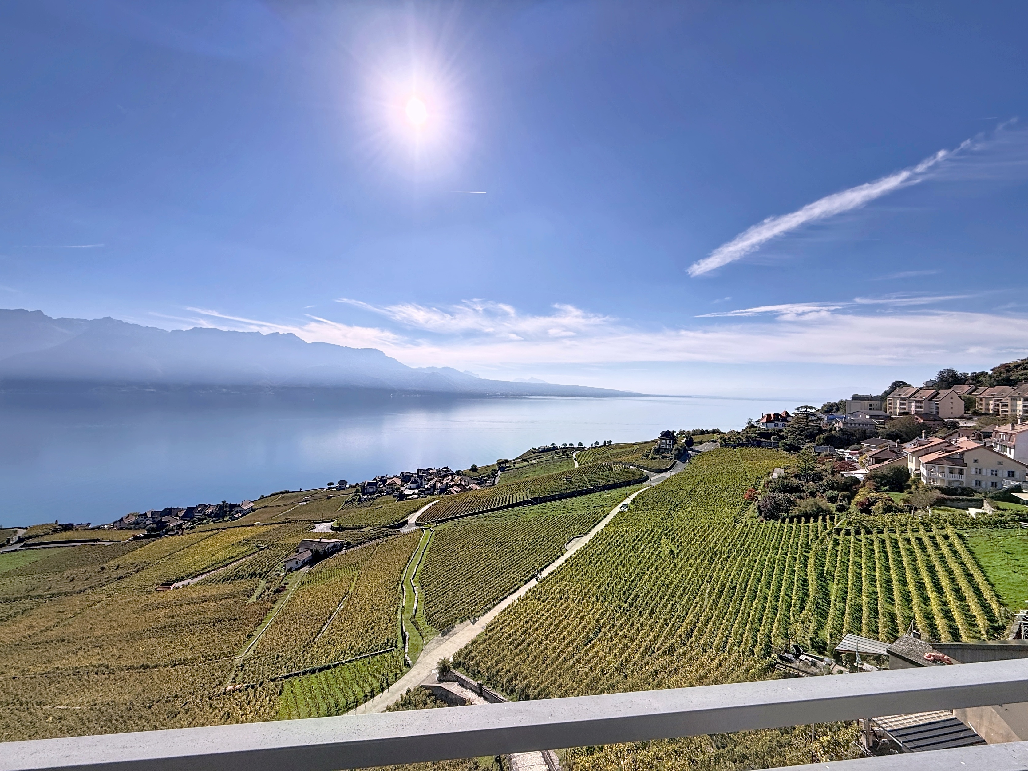 Panoramablick über Weinberge und See