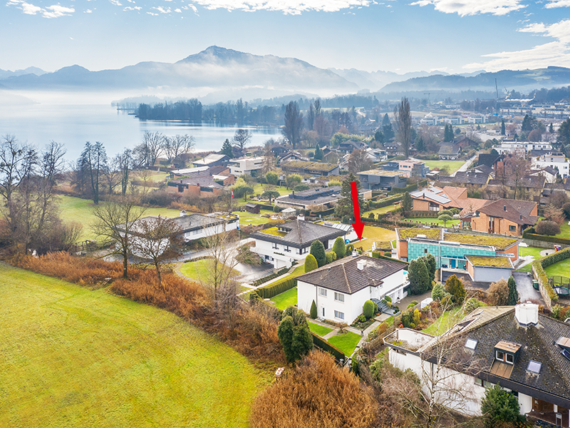 Luftaufnahme einer Wohngegend am See mit Bergpanorama