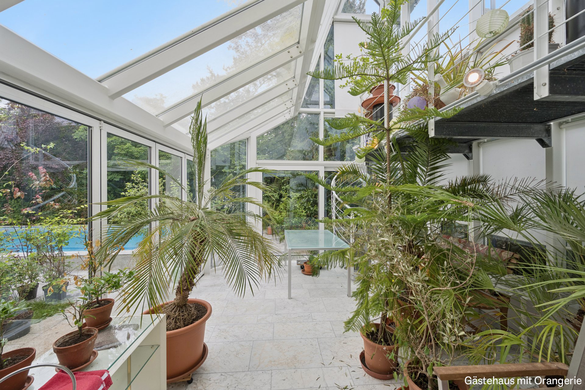 Helle Orangerie mit vielen Pflanzen
