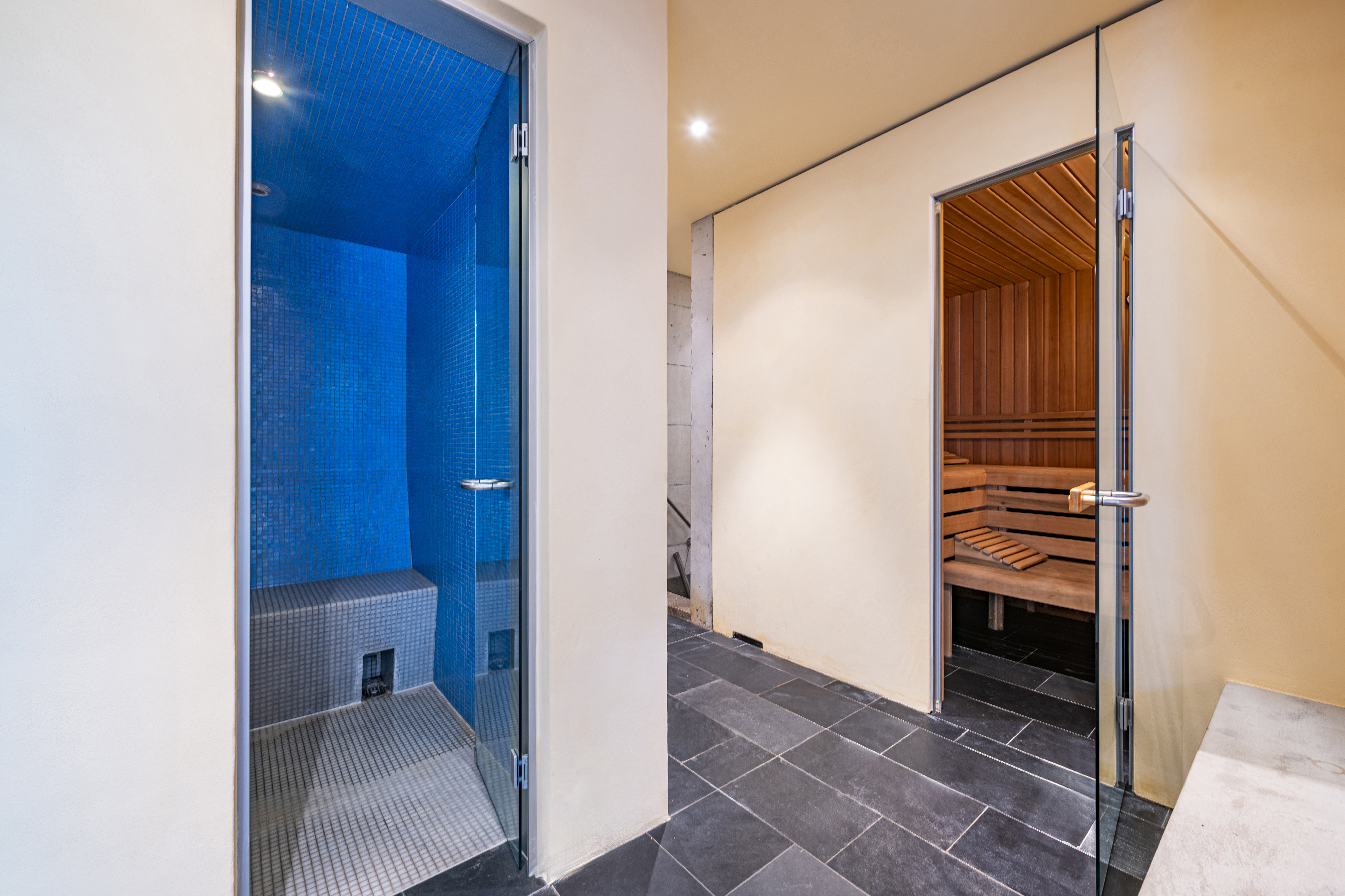 Wellnessbereich mit Sauna und Dusche