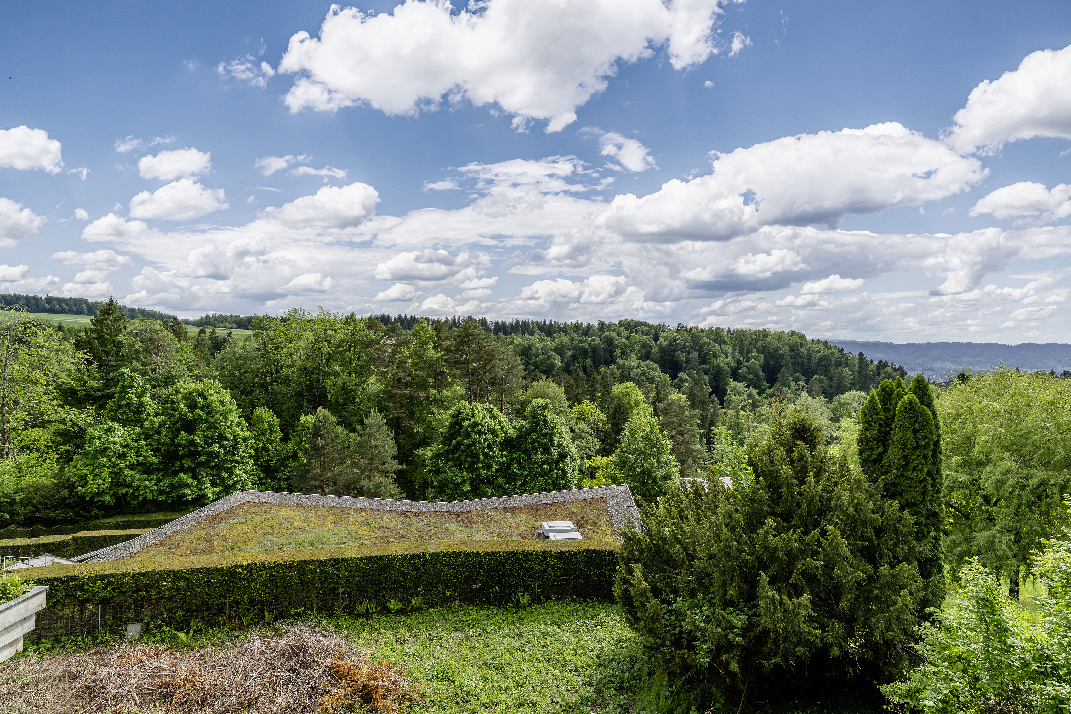 Grüner Landschaftsblick mit begrüntem Flachdach