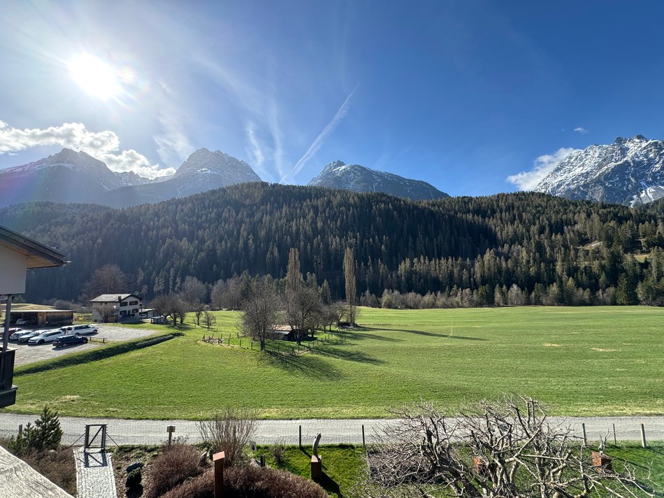 Bergblick über Wiese und Wald