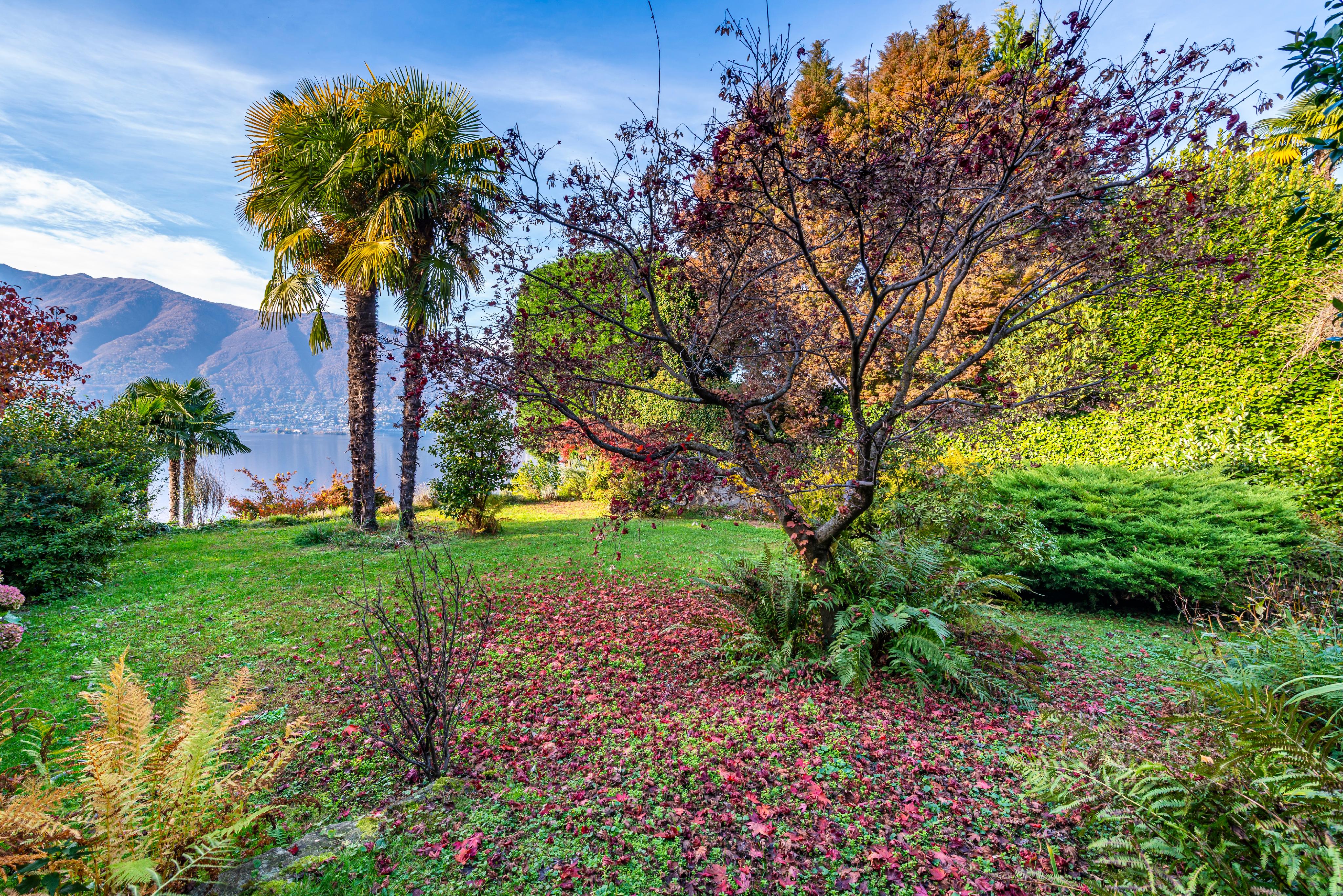 Seeblick mit Garten