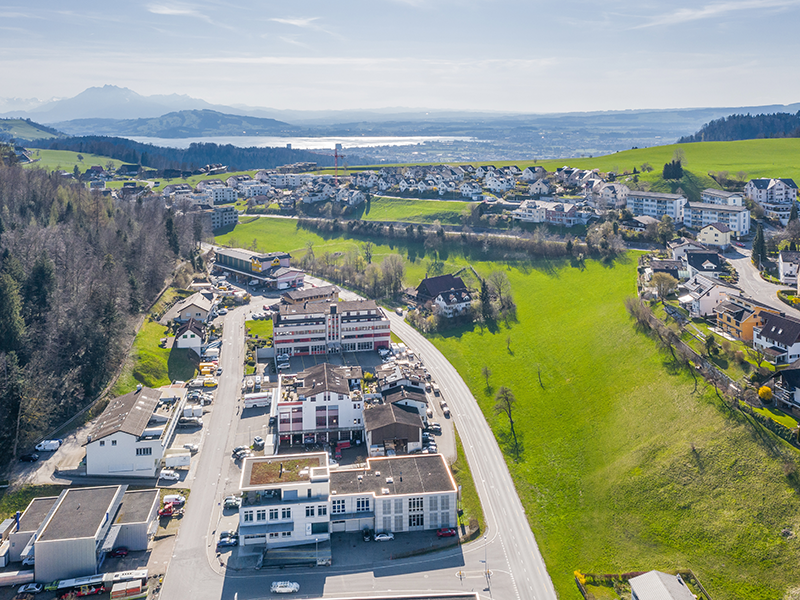 Luftaufnahme einer grünen Wohn- und Gewerbelandschaft mit See- und Bergblick