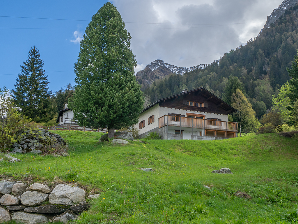 Alpenchalet mit Bergblick