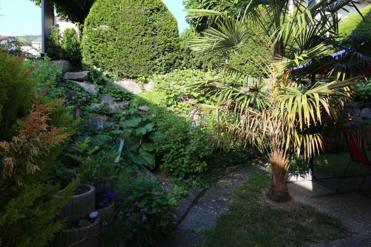 Üppiger Garten mit exotischer Bepflanzung