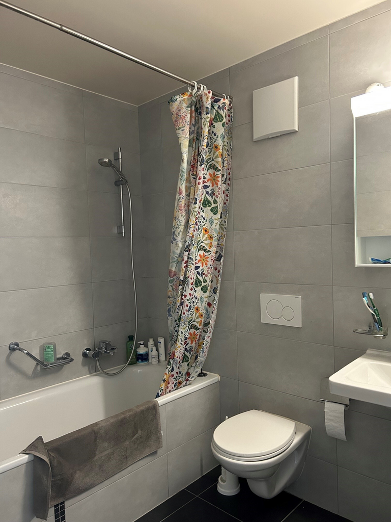 Modernes Badezimmer mit Badewanne, Dusche und WC