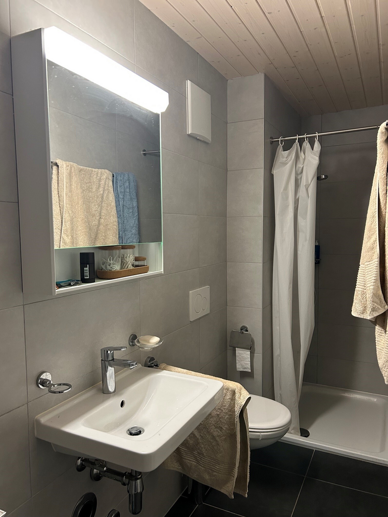 Modernes Badezimmer mit Dusche und Waschtisch