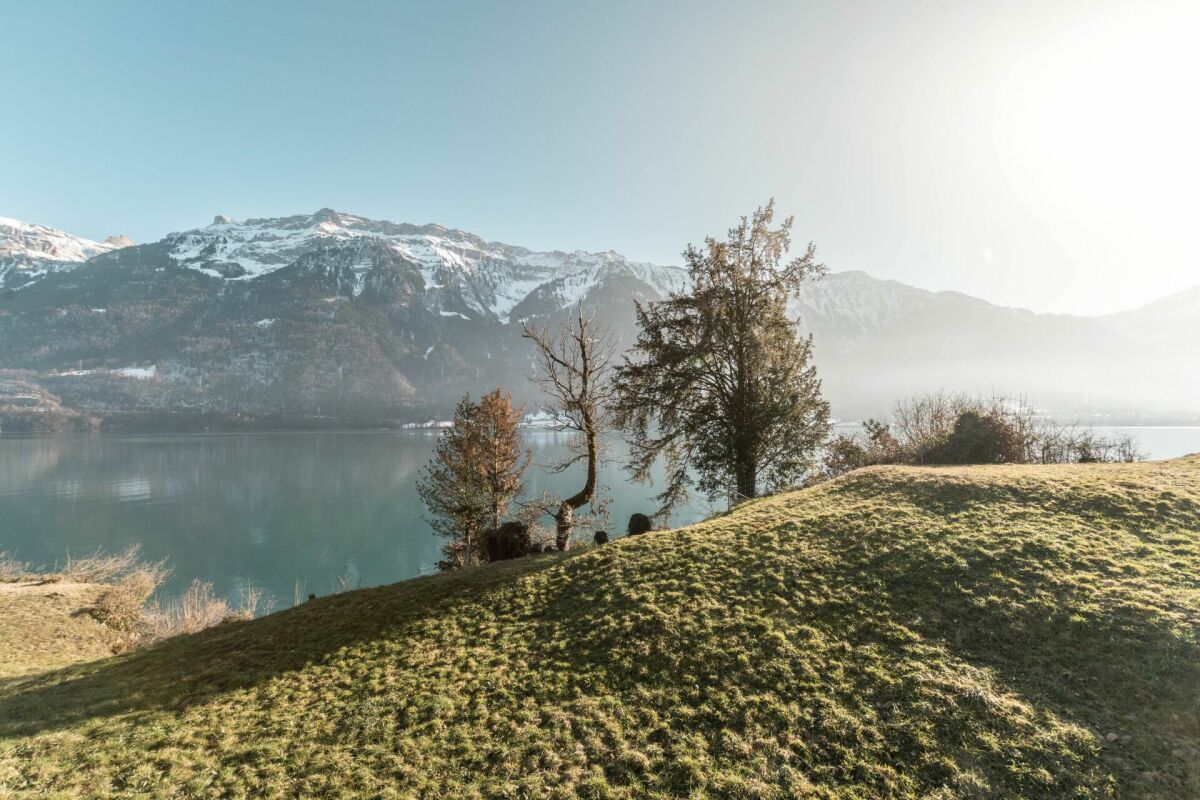 Seeblick mit Bergen und Wiese