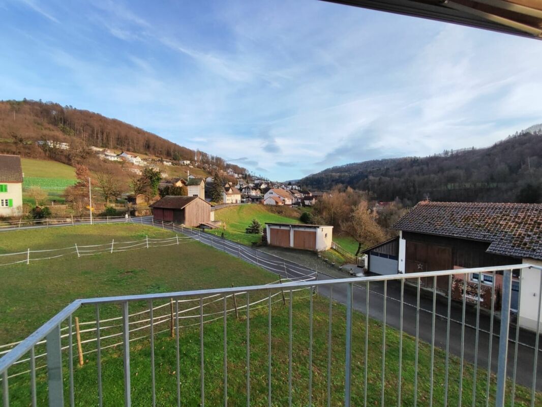 Blick vom Balkon auf Tal, Straße und Häuser