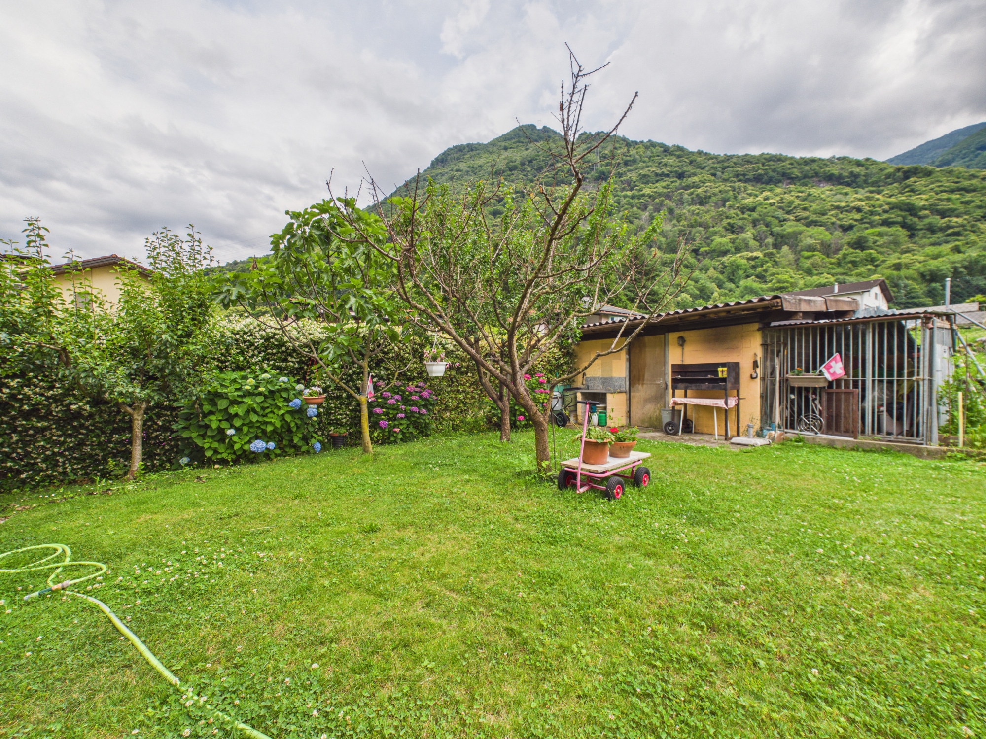Garten mit Schuppen und Bergkulisse