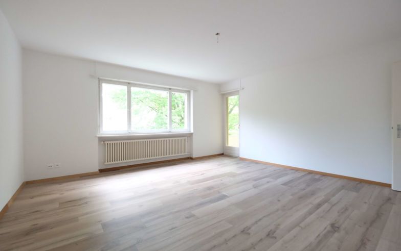 Heller leerer Wohnraum mit großem Fenster