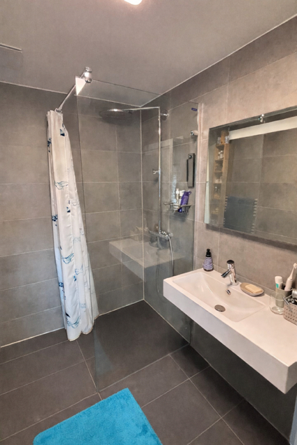 Modernes Badezimmer mit begehbarer Dusche und Waschtisch