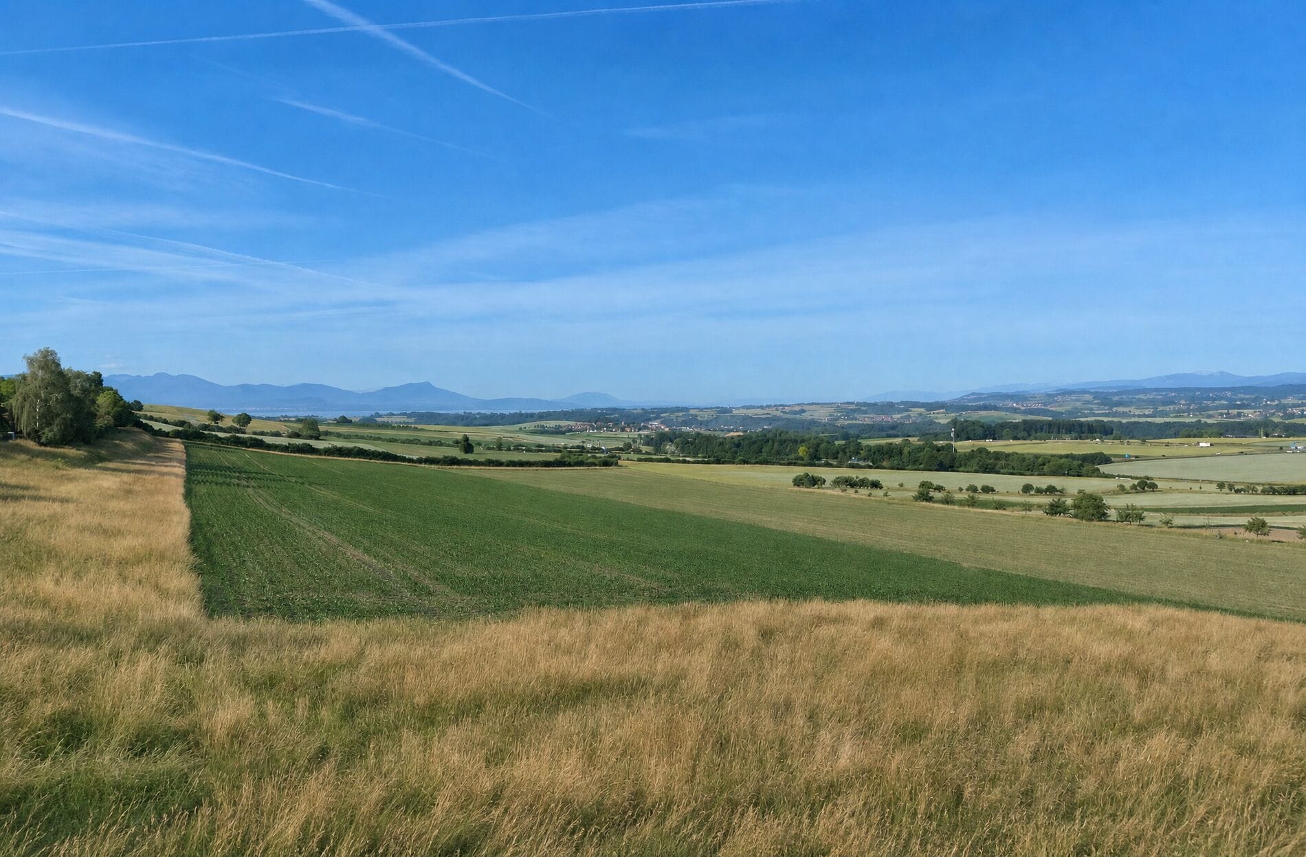 Landschaft mit Feldern und Bergen