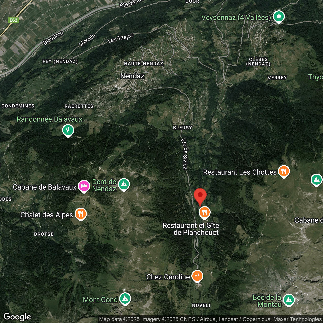 Satellitenkarte einer alpinen Bergregion
