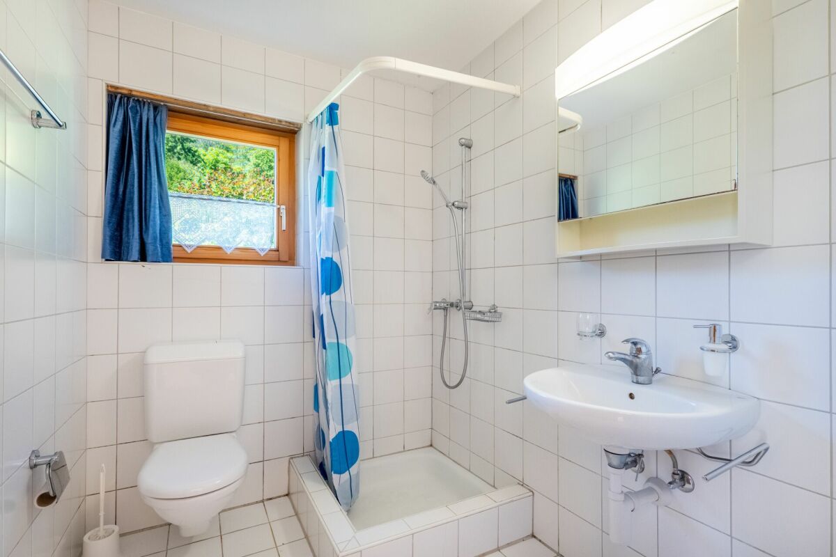 Kleines Tageslichtbad mit Dusche, WC und Waschbecken
