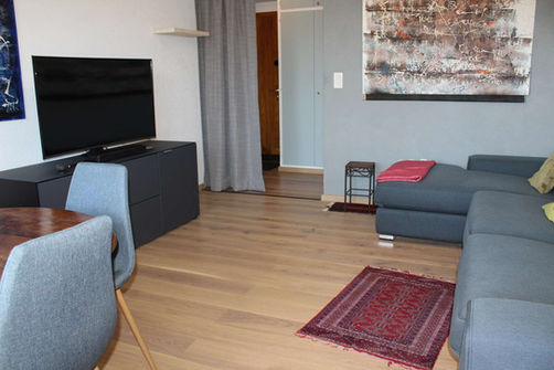 Modernes Wohnzimmer mit Sofa und TV
