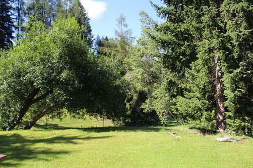 Garten mit altem Baumbestand