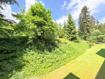 Garten mit dichtem Grün und Rasenfläche