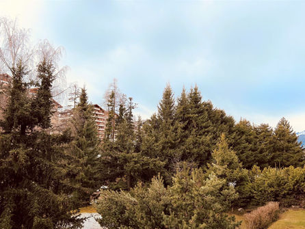 Blick auf Bäume und Wohngebäude