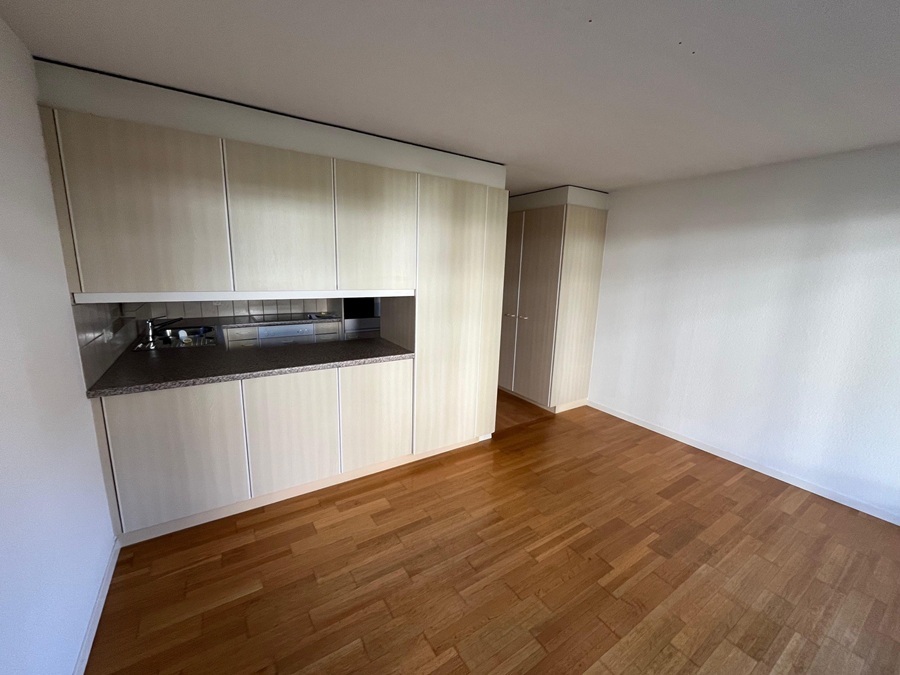 Wohnraum mit integrierter Küchenzeile