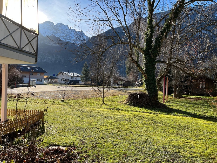 Bergblick über eine grüne Gartenfläche