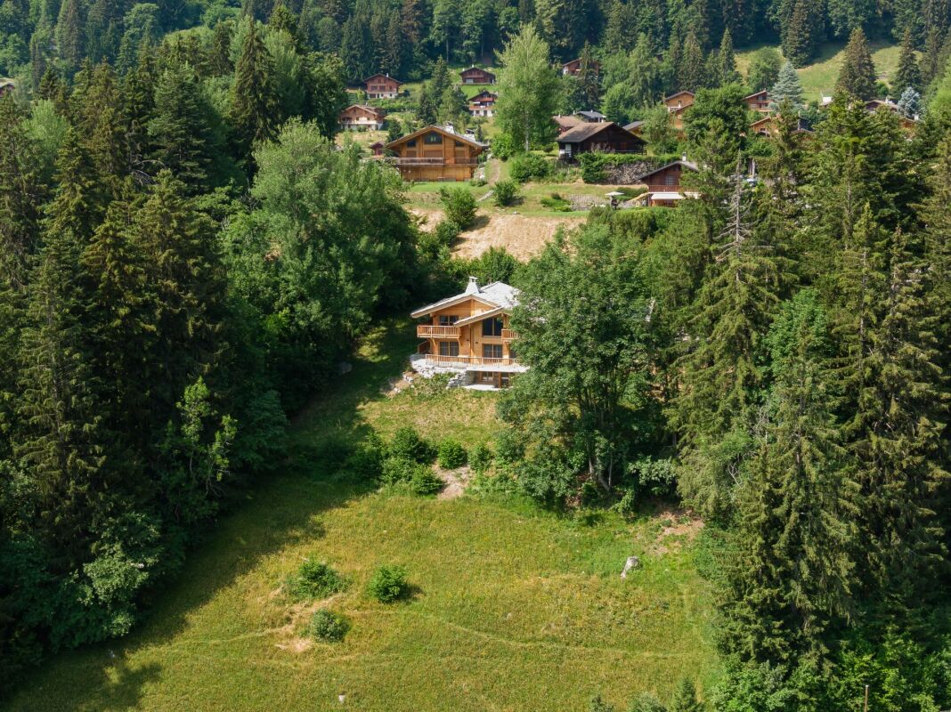 Berglandschaft mit Chalet und Wald