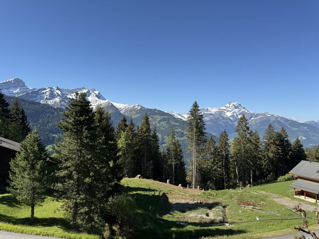 Bergpanorama mit Wald und Almwiese