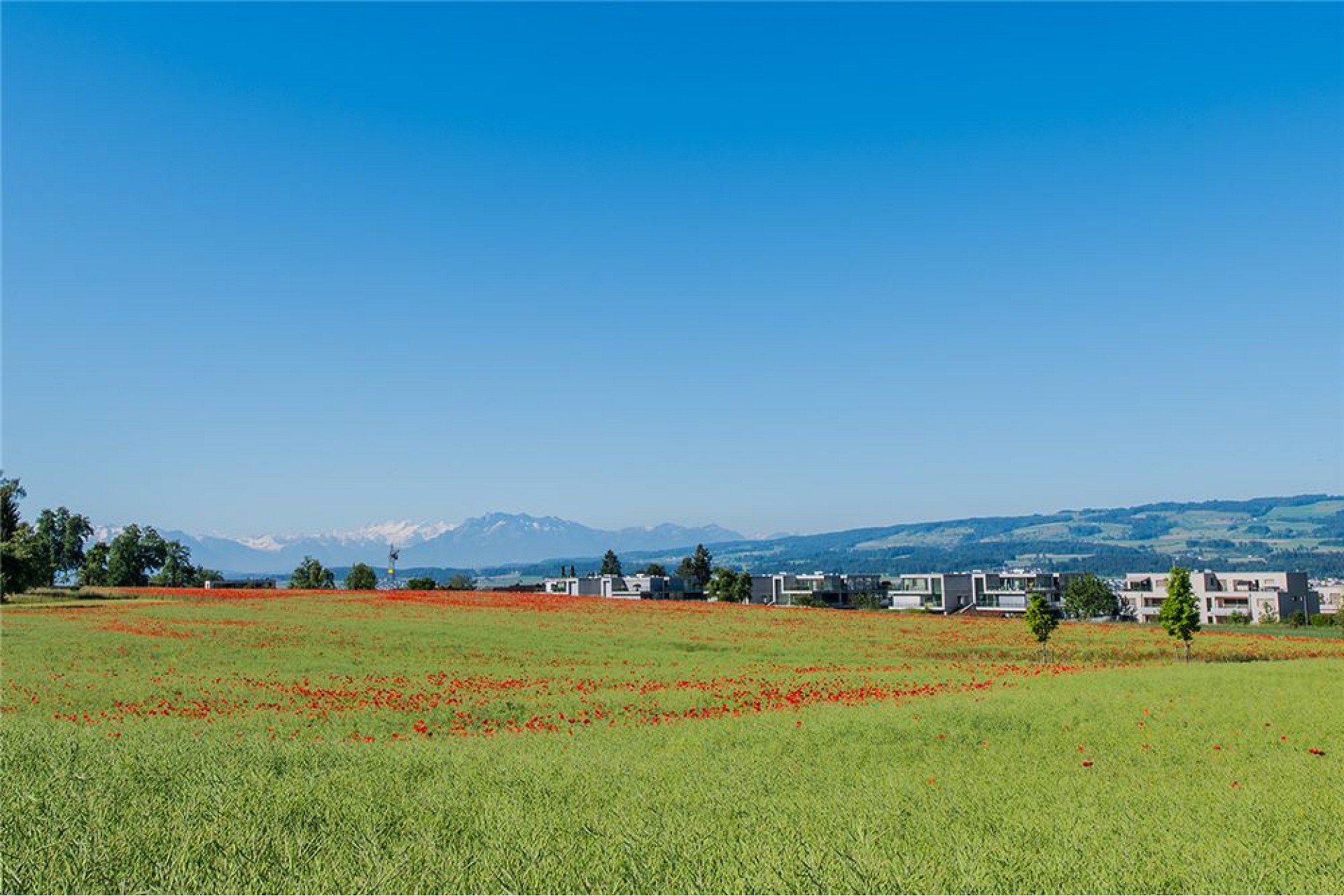 Landschaft mit Bergblick