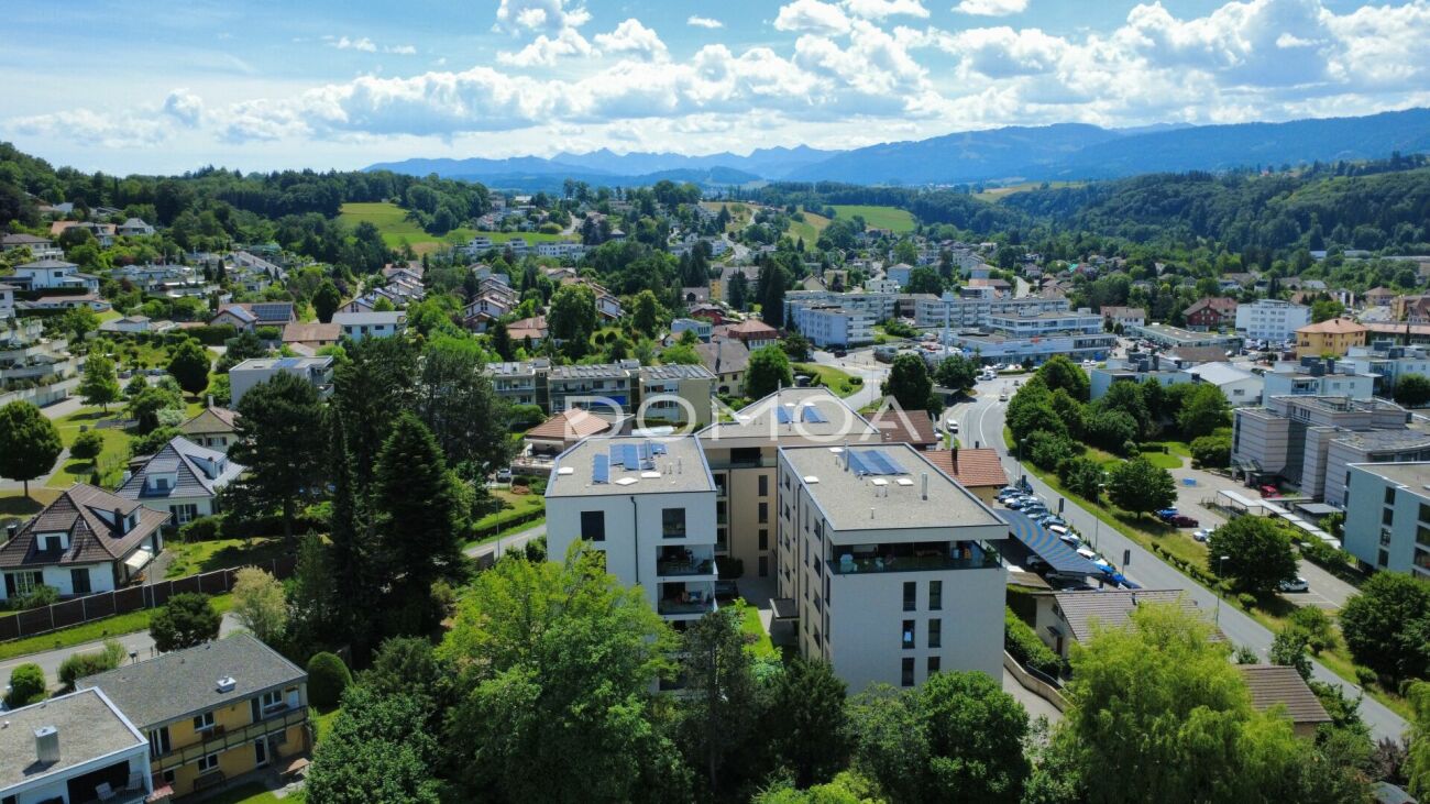 Luftaufnahme einer grünen Wohngegend mit Bergpanorama