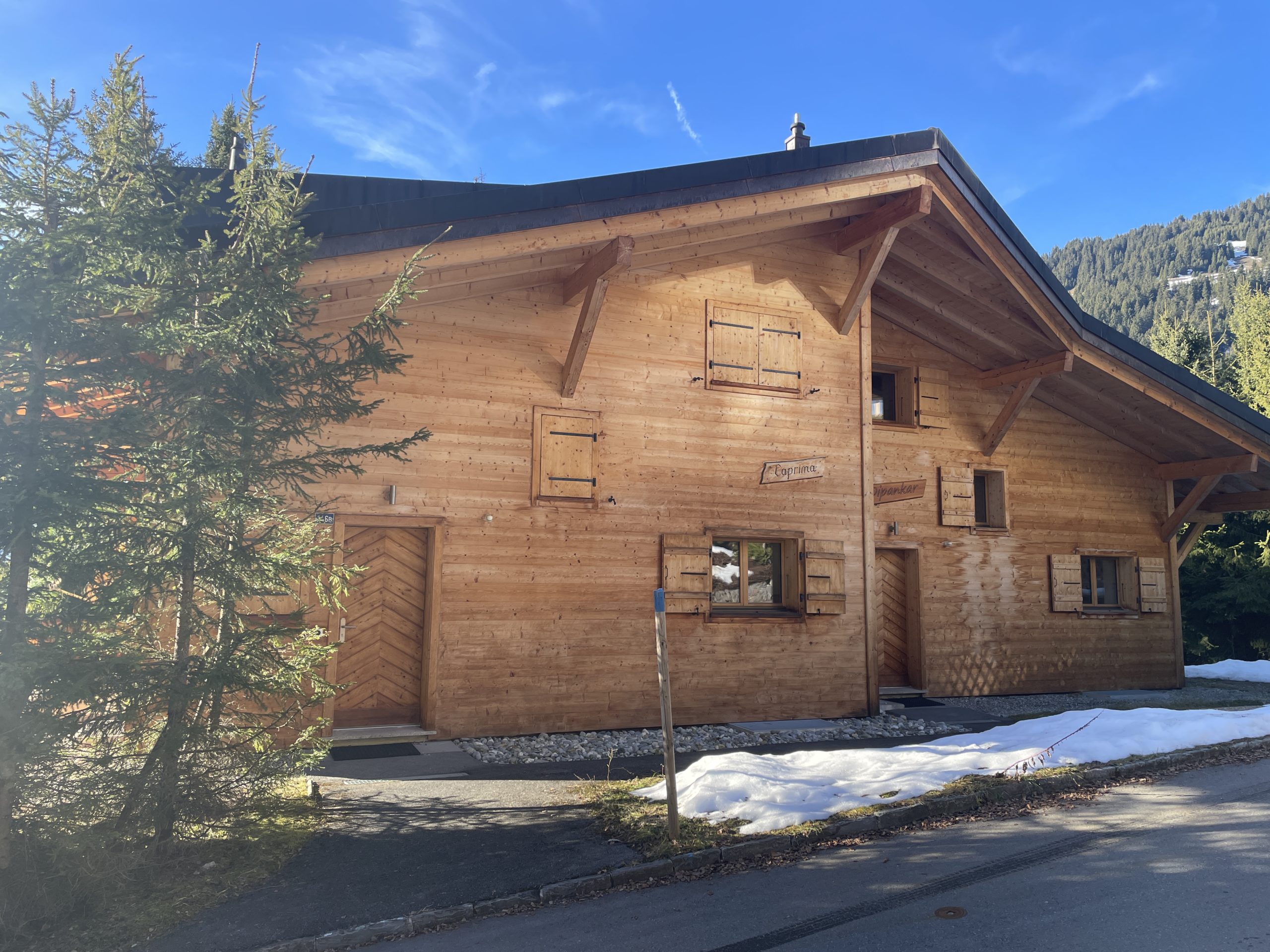 Alpen-Chalet mit Holzfassade
