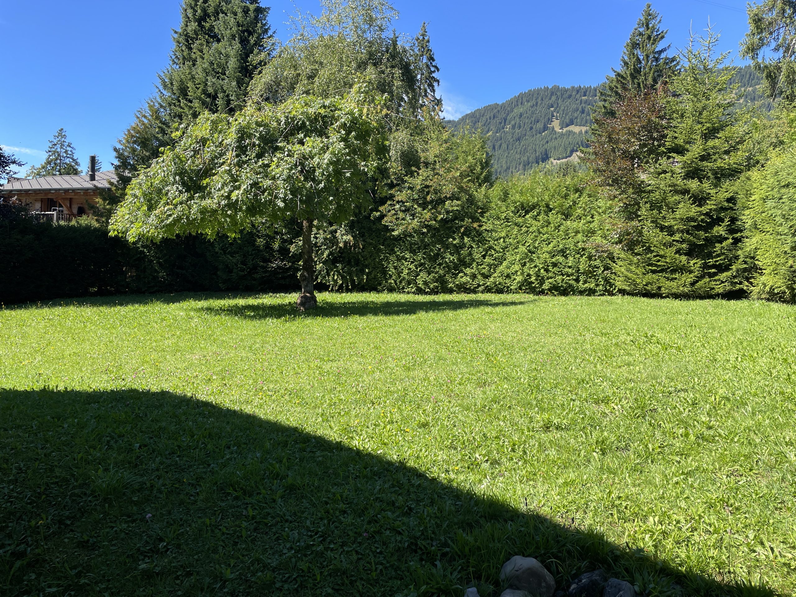Garten mit Bergblick