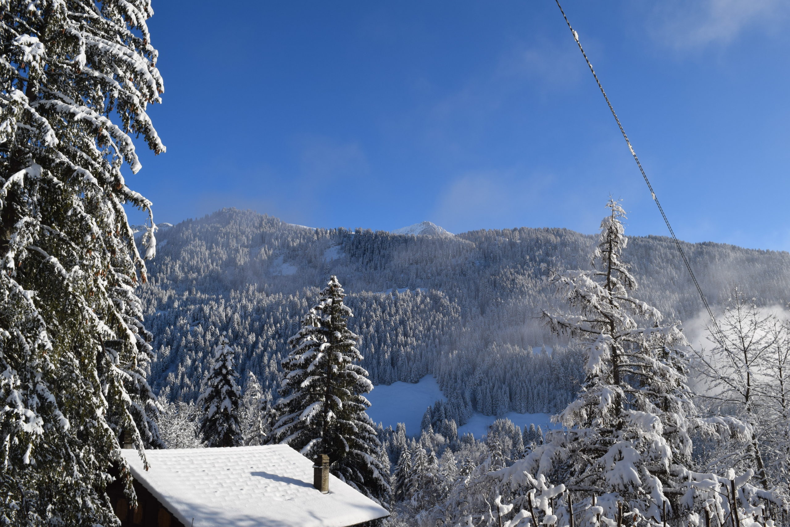 Verschneite Berglandschaft mit Wald und Hütte
