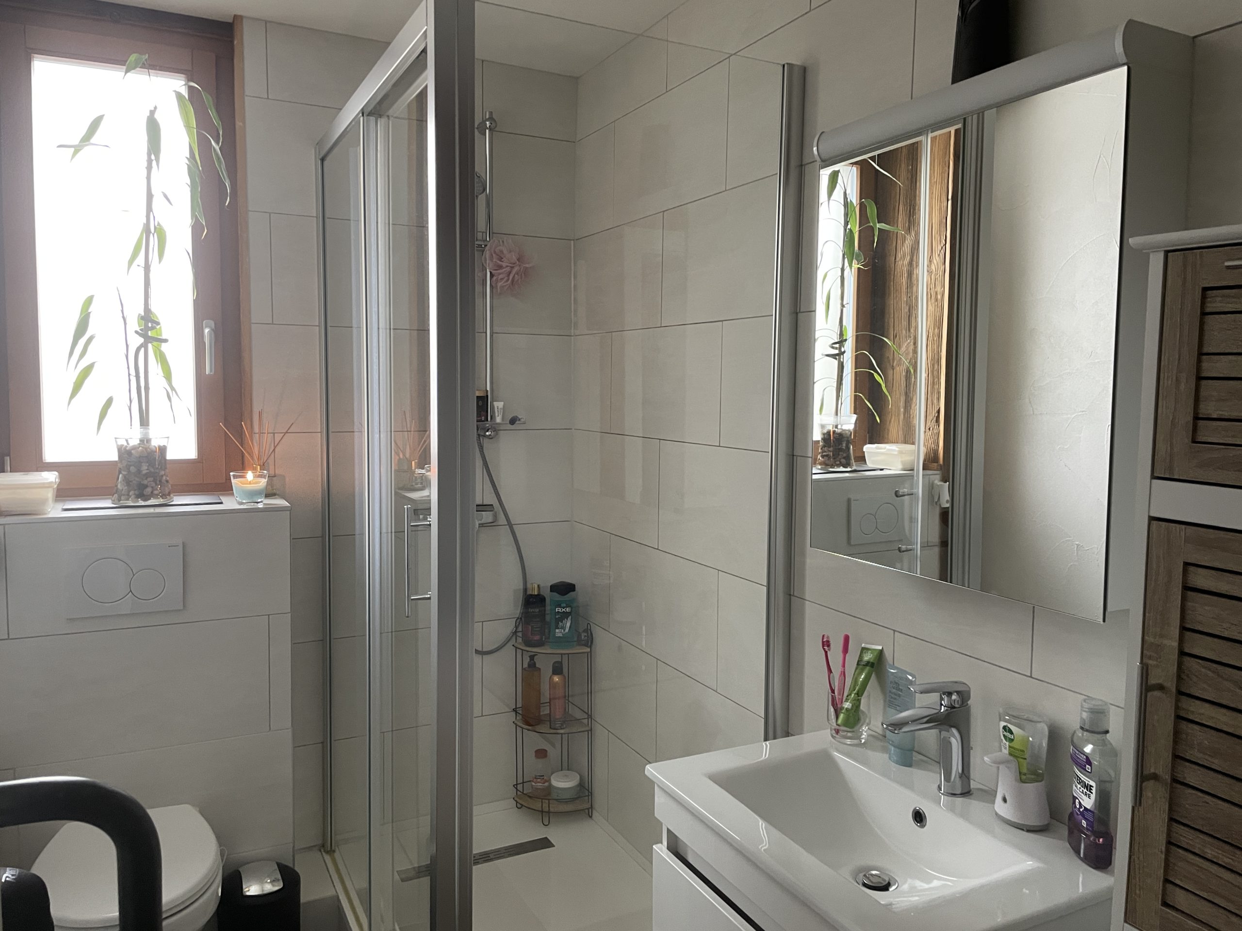 Modernes Badezimmer mit Dusche und Fenster