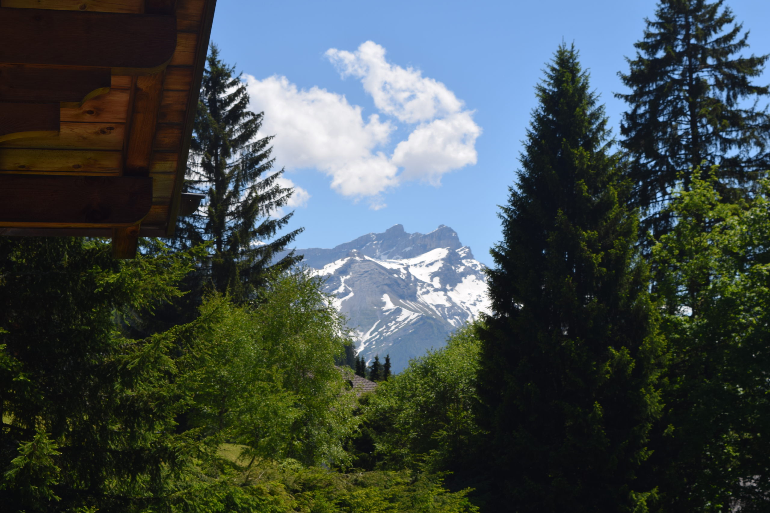 Alpenblick mit Schneegipfel und Wald