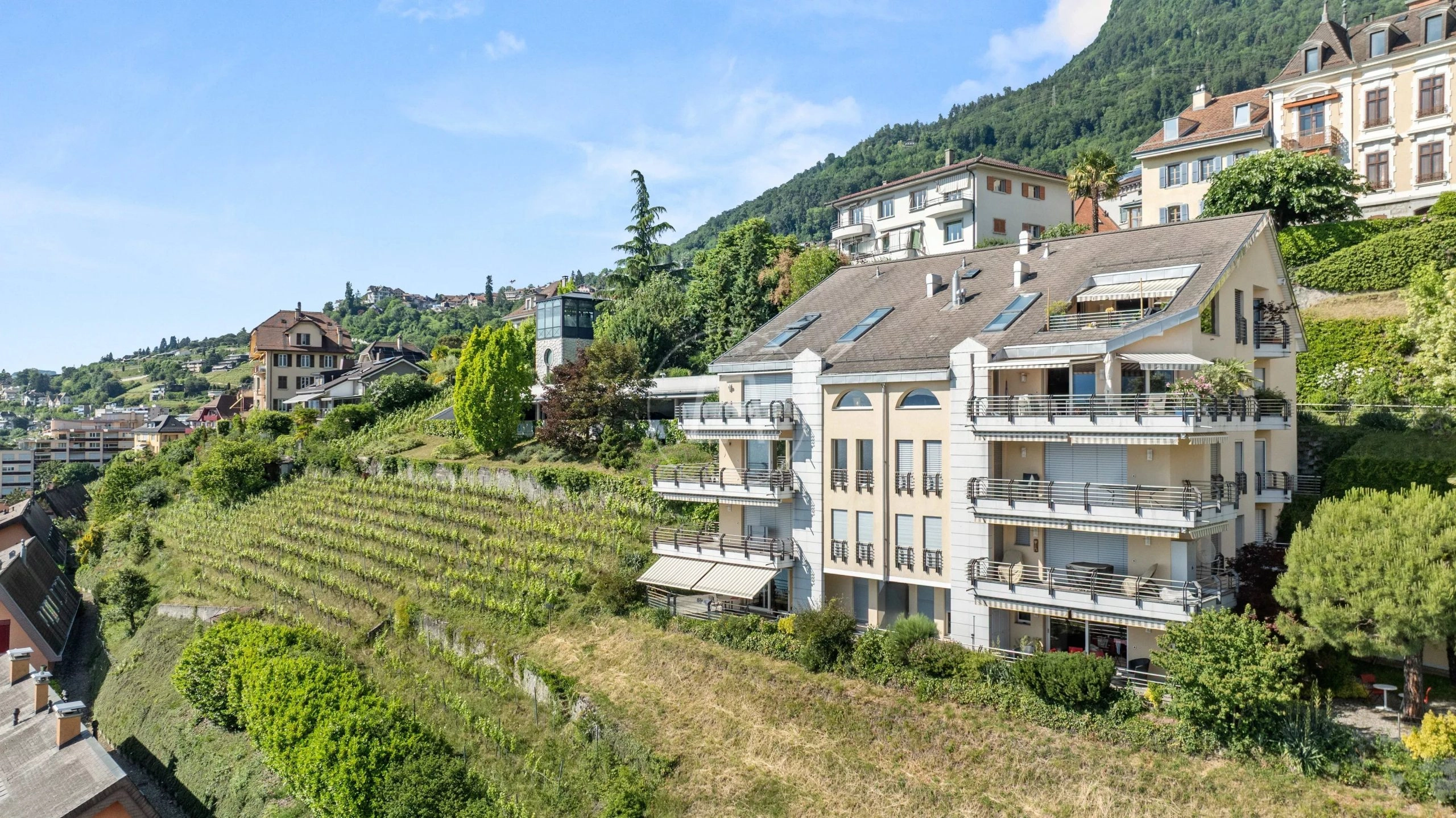 Häuserensemble am Hang mit Weinberg und Alpenkulisse