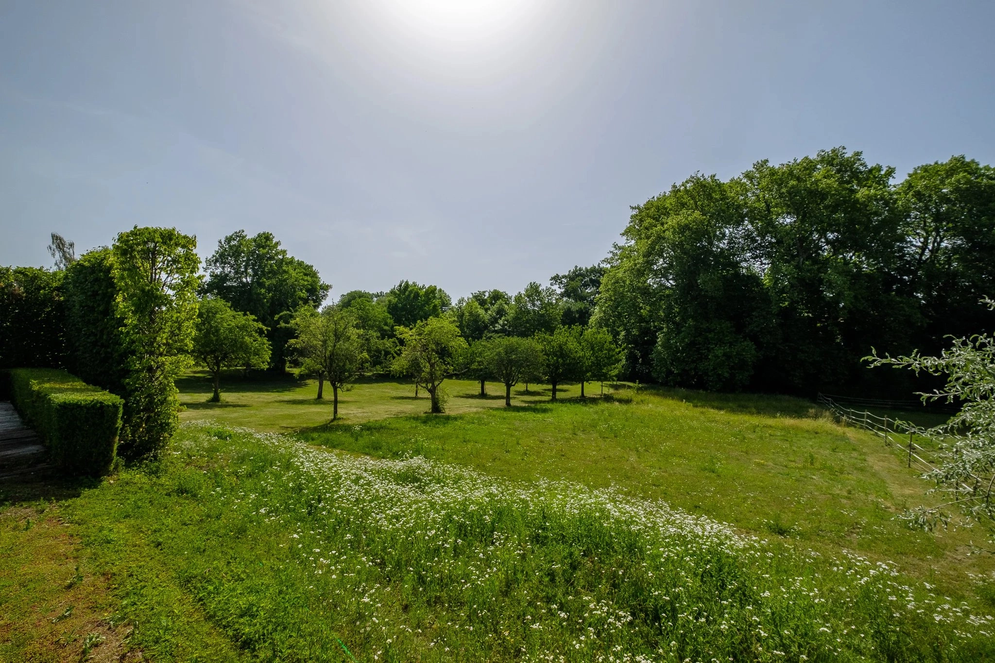 Landschaftlicher Gartenblick