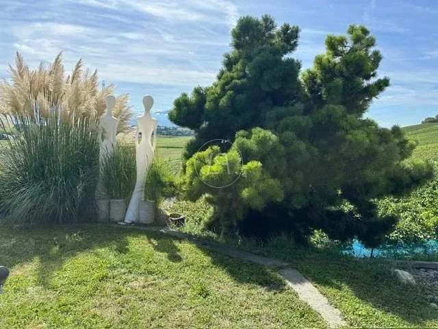 Gartenansicht mit Ziergräsern und Skulpturen