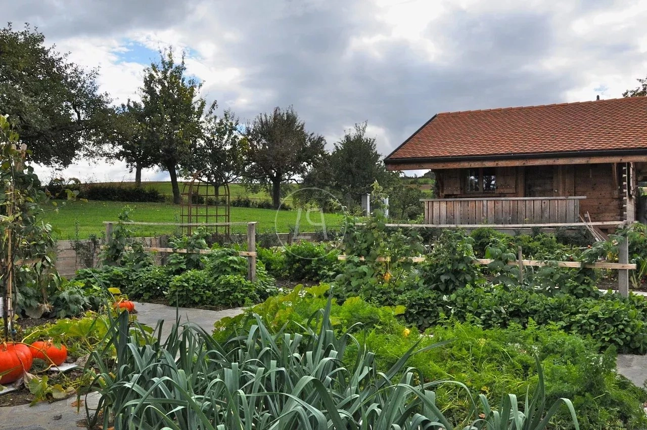 Ländlicher Garten mit Holzhaus