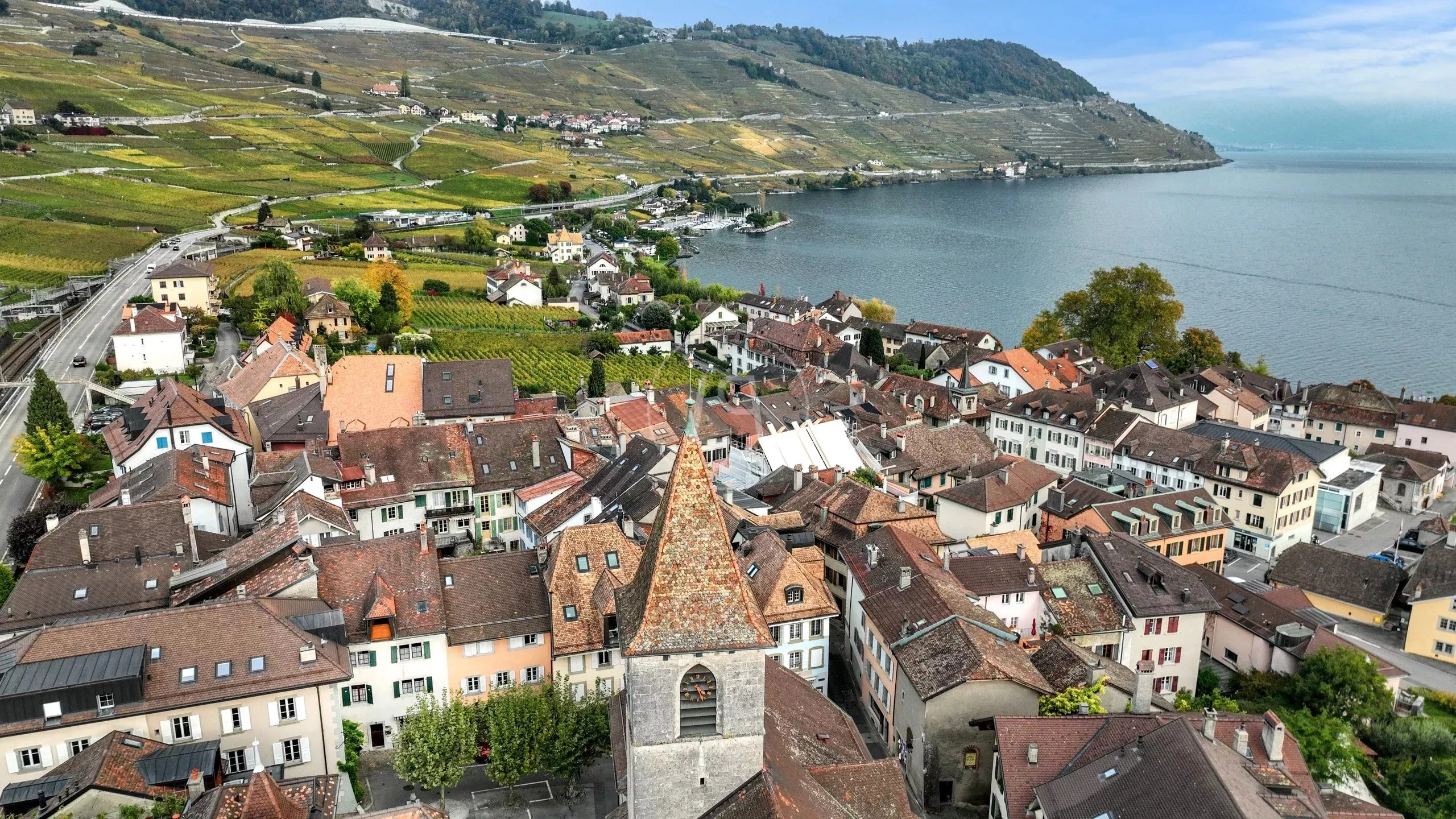 Historische Ortschaft am Seeufer mit Weinbergen