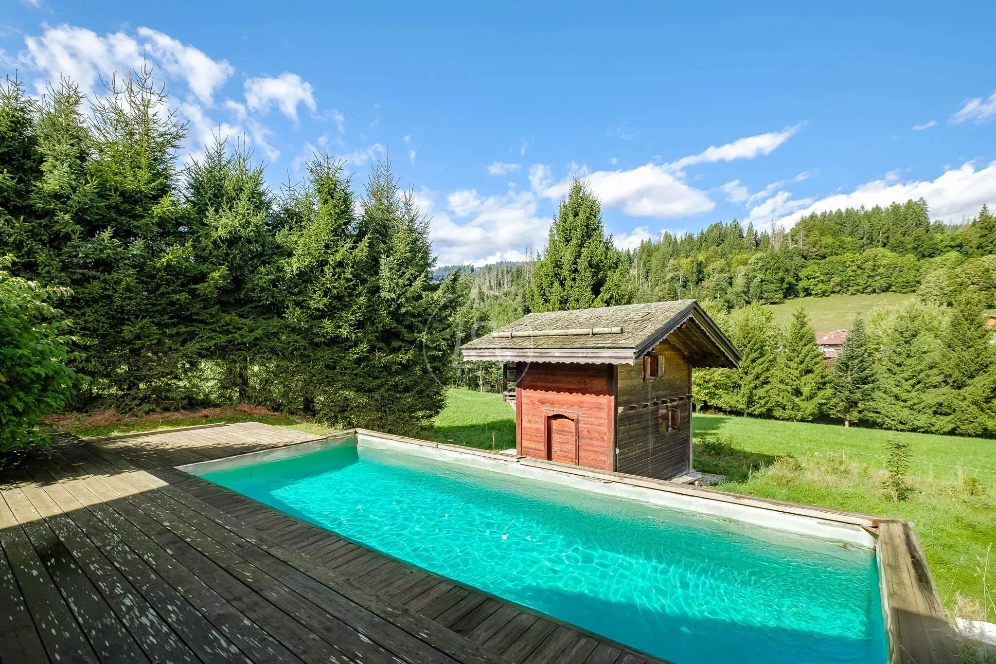 Außenbereich mit Pool und Gartenblick