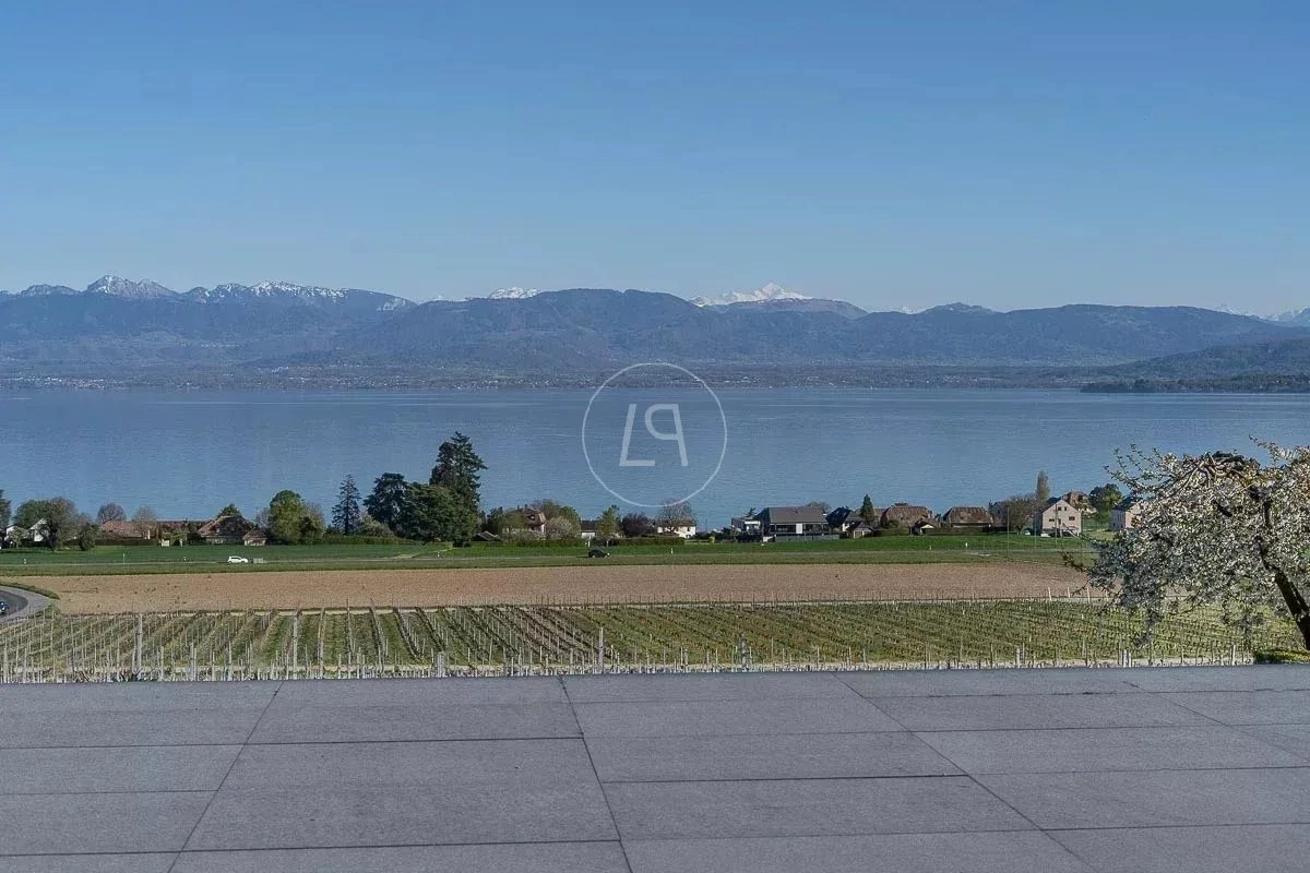 Panorama mit See- und Bergblick