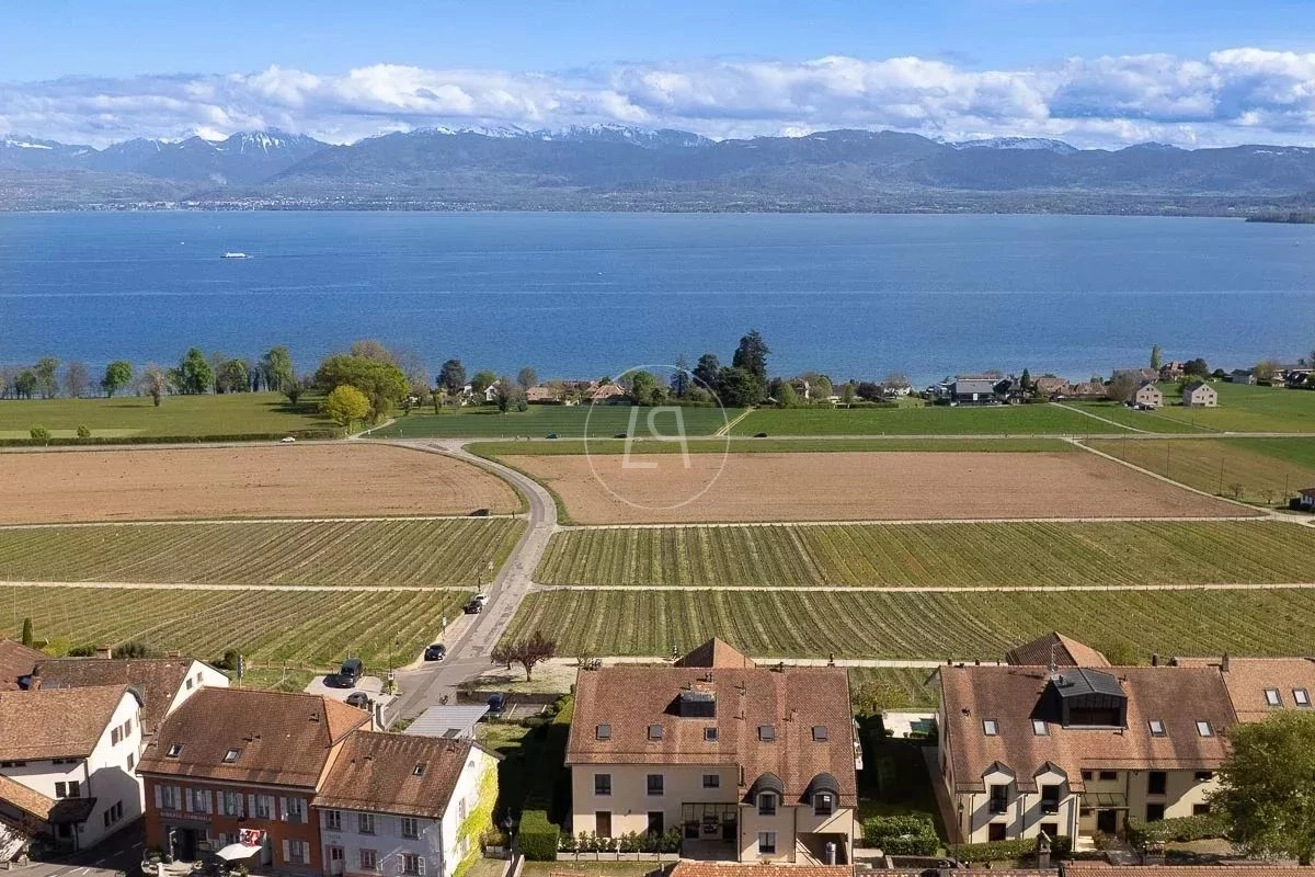 Seeblick über Weinberge und Dächer