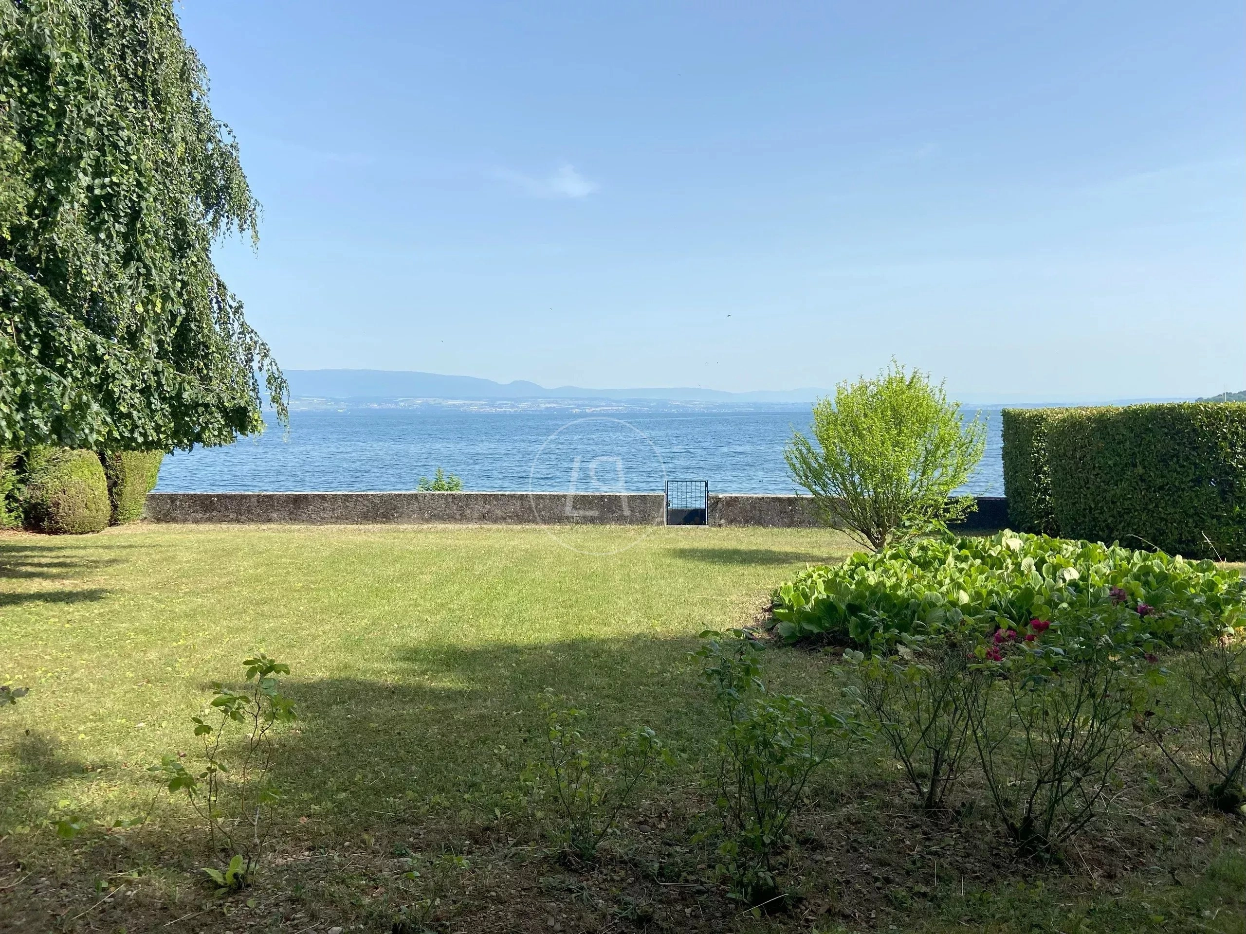 Seeblick auf gepflegten Garten