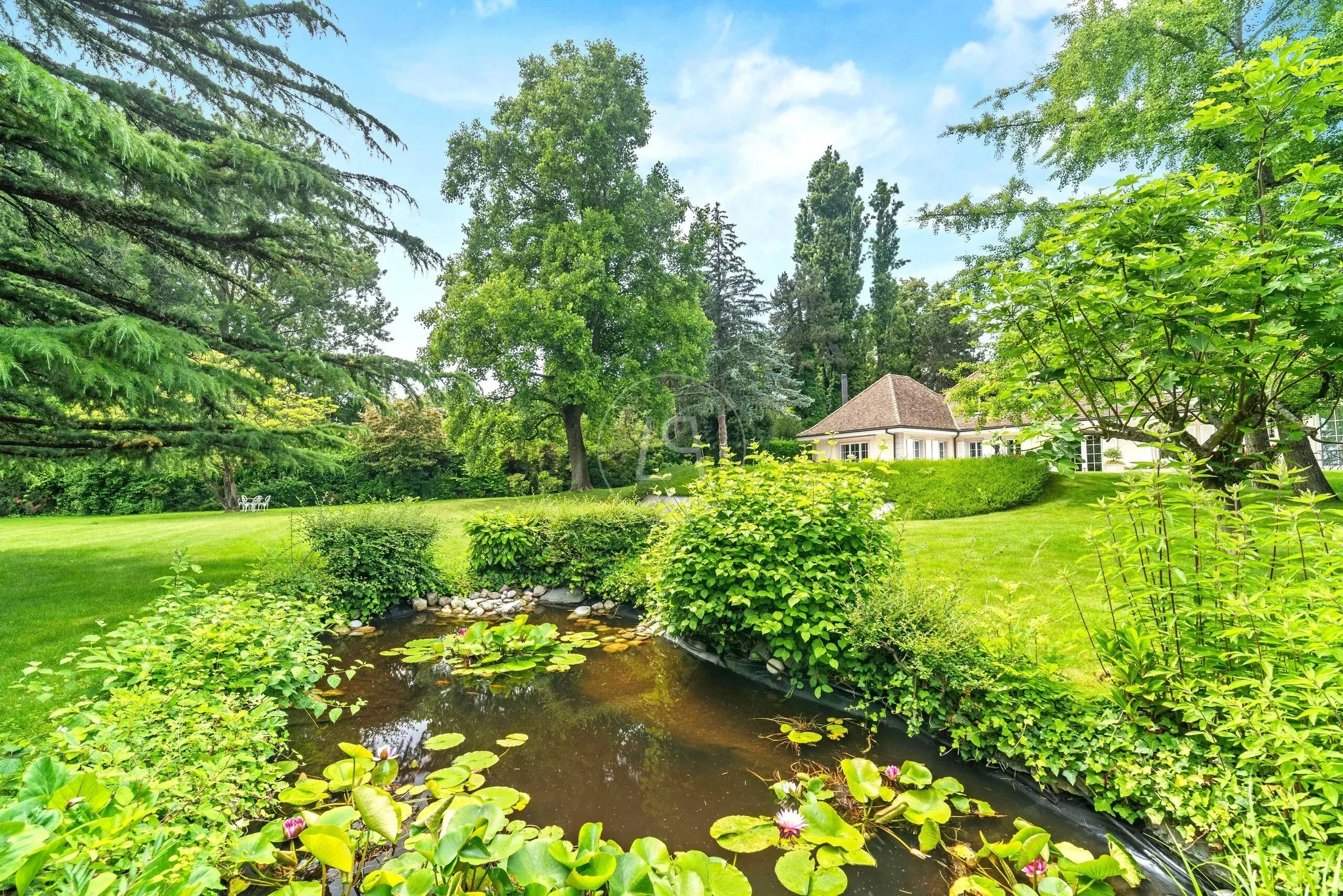 Gepflegter Garten mit Teich und Villa im Hintergrund