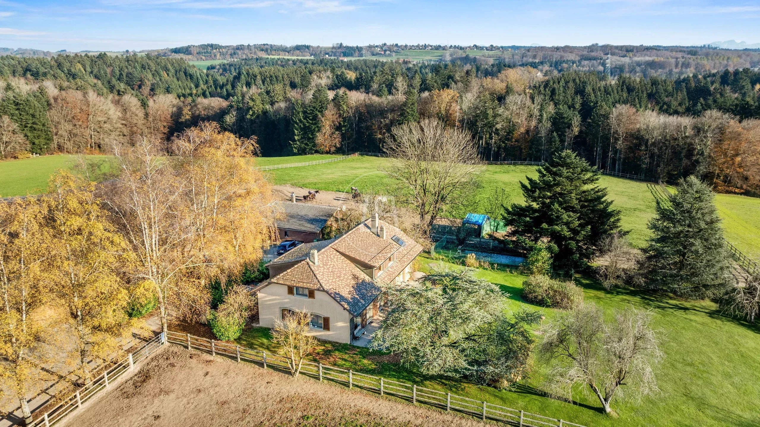 Luftaufnahme eines ländlichen Anwesens mit Haus, Wiesen und Wald